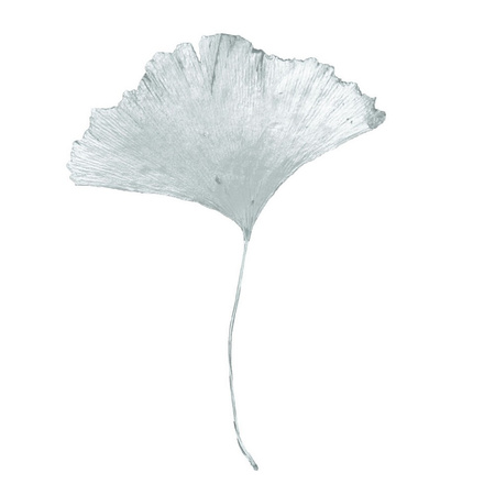 MARKER OLEJOWY UCHIDA 350-S DECOCOLOR PREMIUM SREBRNY ŚCIĘTA