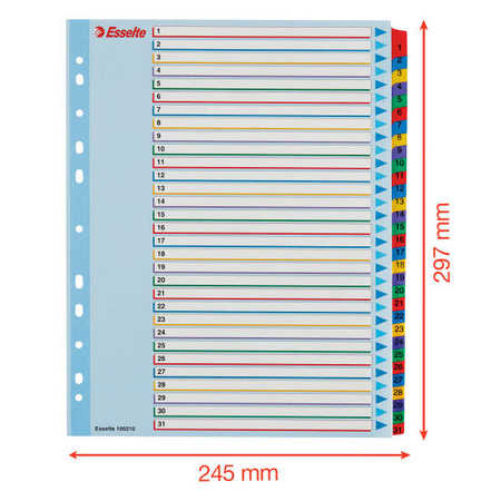 PRZEKŁADKI 1-31 A4 MAXI ESSELTE 100210 MIX
