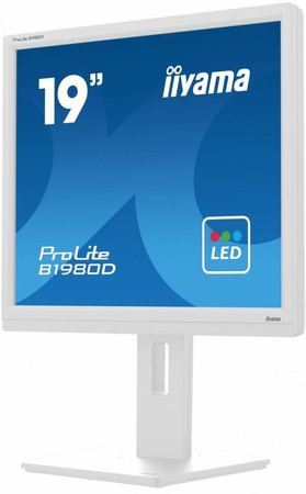 IIYAMA MONITOR 19 CALI B1980D-W5 DVI,VGA,PIVIOT,HAS/150MM,5:4