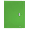 TECZKA A4 LEITZ RECYCLE 46220055 ZIELONY PP