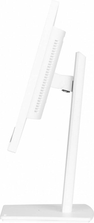 IIYAMA MONITOR 24 CALE XUB2497HSN-W2 IPS, USB-C DOCK, HDMI, DP, 300CD, PIVOT, HAS, BIAŁY