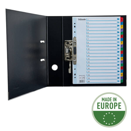 PRZEKŁADKI 1-20 A4 ESSELTE MYLAR 100163 MIX KARTON 160G