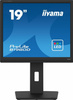 IIYAMA MONITOR 19 CALI B1980D-B5 DVI,VGA,PIVIOT,HAS/150MM,5:4