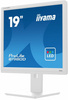 IIYAMA MONITOR 19 CALI B1980D-W5 DVI,VGA,PIVIOT,HAS/150MM,5:4