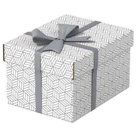 PUDŁO ARCHIWIZACYJNE 200X150X255MM ESSELTE 628280 BIAŁY 3SZT
