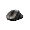 Genius Ergo 9000S Mysz bezprzewodowa, tytan, 2400DPI