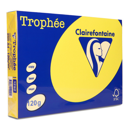 PAPIER KSERO KOLOR A4 TROPHEE SŁONECZNY 120G 250 ARK