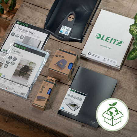 TECZKA HARMONIJKOWA A4 LEITZ RECYCLE 46240015 ŻÓŁTY PP 5 PRZEGRÓDEK