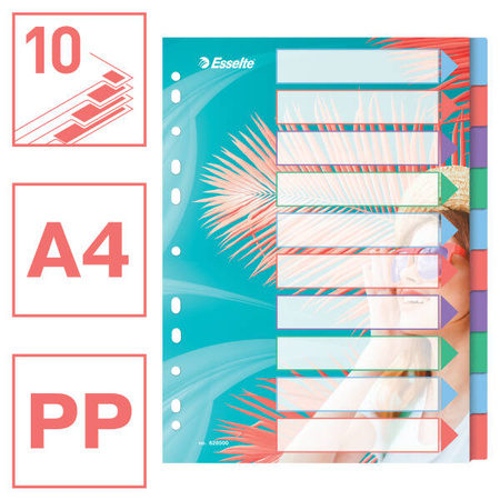 PRZEKŁADKI Z INDEKSAMI A4 ESSELTE 628500 MIX PP 10SZT