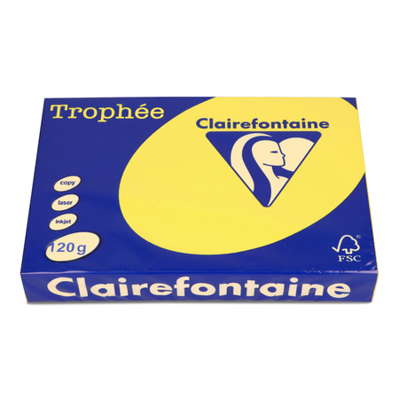 PAPIER KSERO KOLOR A4 TROPHEE SŁONECZNY 120G 250 ARK