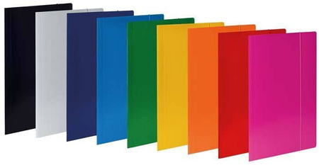 Teczka z gumką A4 VAUPE ECO 319/11 różowa tektura 380g/m2 20mm