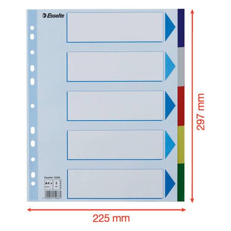 PRZEKŁADKI A4 MAXI ESSELTE 15266 MIX PP 5SZT