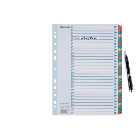PRZEKŁADKI 1-31 A4 ESSELTE MYLAR 100164 MIX KARTON 160G
