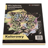 PAPIER KSERO KOLOR A4 EMERSON MIX PASTELOWY 80G 5*20ARK.