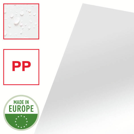 OFERTÓWKA KRYSTALICZNA A4 ESSELTE L 56218 PRZEZROCZYSTY PP 105MIC 100SZT