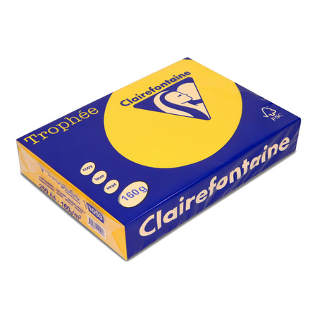 PAPIER KSERO KOLOR A4 TROPHEE SŁONECZNIKOWY 160G 250 ARK