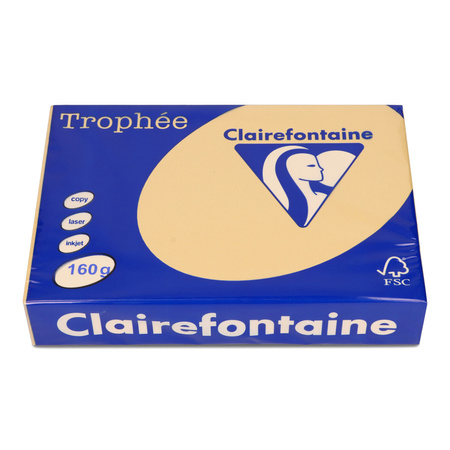 PAPIER KSERO KOLOR A4 TROPHEE BRĄZ WIELBŁĄDZI 160G 250 ARK