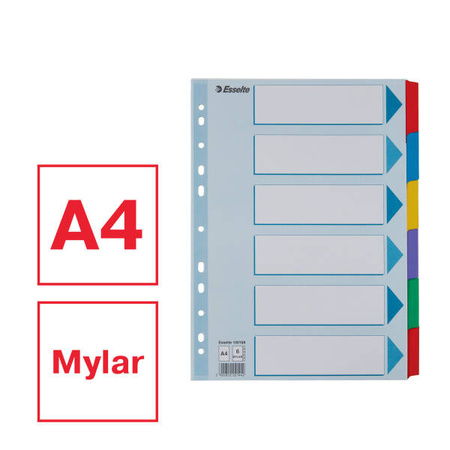 PRZEKŁADKI A4 ESSELTE MYLAR 100168 MIX KARTON 160G 6SZT