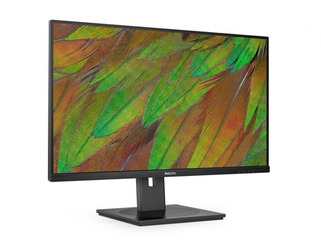 Philips Monitor 31.5 cala 32B1N3800 VA 4K HDMIx2 DP Pivot