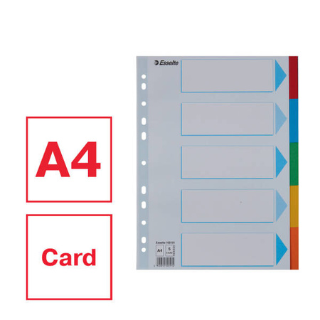 PRZEKŁADKI A4 ESSELTE 100191 MIX KARTON 160G 5SZT