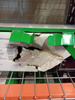 TONER ORYGINALNY LEXMARK 73B20K0 CZARNY 20000 STRON USZKODZONE OPAKOWANIE