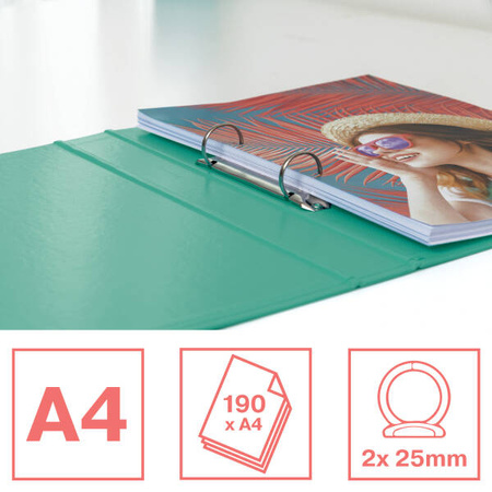 SEGREGATOR A4 ESSELTE COLOUR'BREEZE 42 MM 626498 ZIELONY RINGOWY 