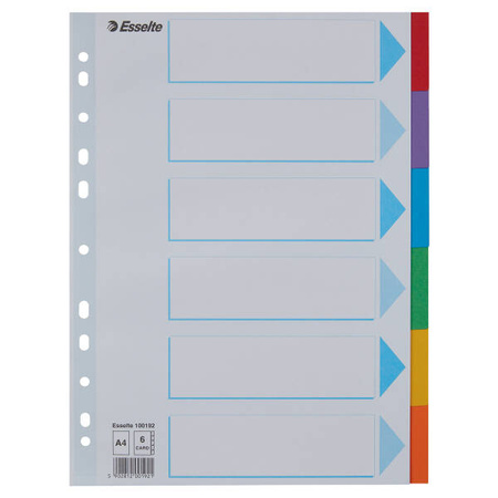 PRZEKŁADKI A4 ESSELTE 100192 MIX KARTON 160G 6SZT