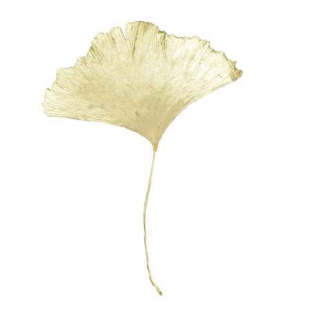 MARKER OLEJOWY UCHIDA 350-S DECOCOLOR PREMIUM ZŁOTY ŚCIĘTA