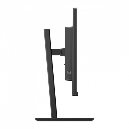 Philips Monitor 31.5 cala 32B1N3800 VA 4K HDMIx2 DP Pivot