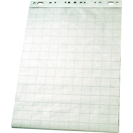 BLOK DO FLIPCHARTÓW 65X100CM ESSELTE 96553 GŁADKI 50ARK