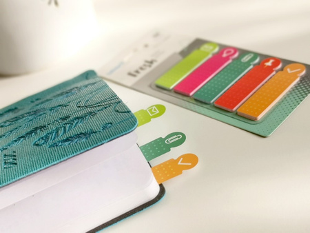 ZAKŁADKI INDEKSUJĄCE FOLIOWE 12X45MM SMART PET FRESH INFO 5X25SZT