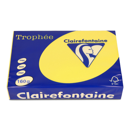 PAPIER KSERO KOLOR A4 TROPHEE SŁONECZNY 160G 250 ARK