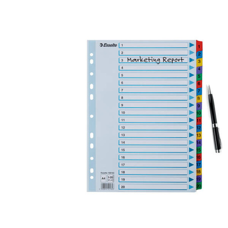 PRZEKŁADKI 1-20 A4 ESSELTE MYLAR 100163 MIX KARTON 160G