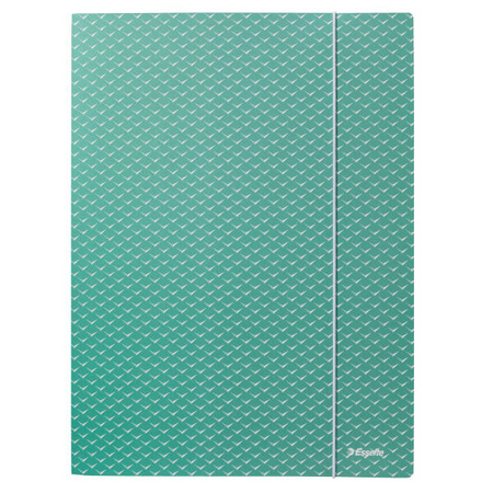 TECZKA Z GUMKĄ A4 ESSELTE COLOUR'BREEZE 628493 ZIELONY KARTON