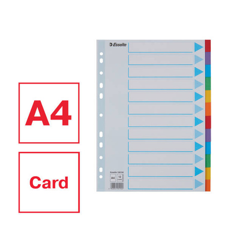 PRZEKŁADKI A4 ESSELTE 100194 MIX KARTON 160G 12SZT