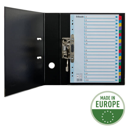 PRZEKŁADKI A-Z A4 ESSELTE MYLAR 100166 MIX KARTON 160G