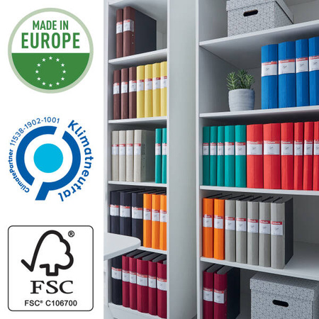 SEGREGATOR A4 ESSELTE FSC® 60 MM 68228 CZARNY