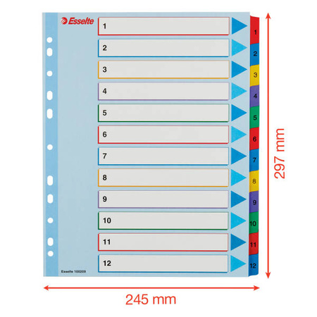 PRZEKŁADKI 1-12 A4 MAXI ESSELTE 100209 MIX