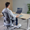PODSTAWKA PRZENOŚNA POD LAPTOP FELLOWES ALUMIA™ 100138867 SREBRNA