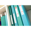 ALBUM OFERTOWY A4 ESSELTE COLOUR'BREEZE 626233 ZIELONY PLASTIK 60 KOSZULEK