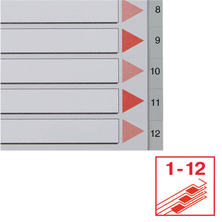 PRZEKŁADKI 1-12 A4 ESSELTE 100106 SZARY PP