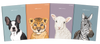 BRULION A7 TOP 2000 SWEET ANIMAL 400169488 TWARDA 80K