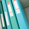 SEGREGATOR A4 ESSELTE COLOUR'BREEZE 626247 NIEBIESKI 4-RINGOWY 