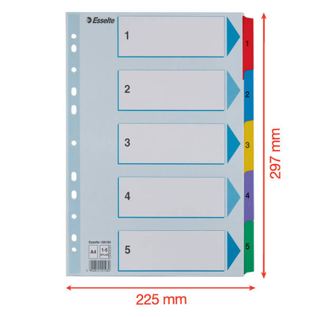 PRZEKŁADKI 1-5 A4 ESSELTE MYLAR 100160 MIX KARTON 160G