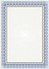 DYPLOM ARGO ROZETA NIEBIESKA 218717 170G 25ARK