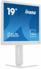 IIYAMA MONITOR 19 CALI B1980D-W5 DVI,VGA,PIVIOT,HAS/150MM,5:4