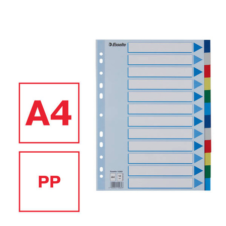 PRZEKŁADKI A4 ESSELTE 15262 MIX PP 12SZT