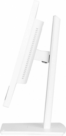 IIYAMA MONITOR 24 CALE XUB2497HSN-W1 IPS,USB-C DOCK,HDMI,DP