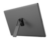 MSI Monitor 15.6 cala PRO MP161 E2U LED/FHD/Flat/60Hz/szary