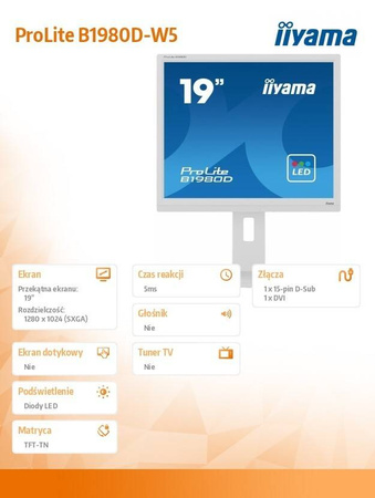 IIYAMA MONITOR 19 CALI B1980D-W5 DVI,VGA,PIVIOT,HAS/150MM,5:4